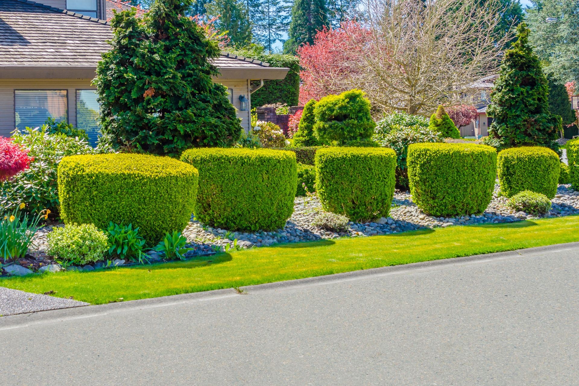 Nicely trimmed bushes and stones in front of the house, front yard. Landscape design.